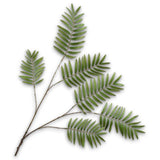 Fern Spray Green