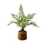 FERN I/POT GREEN