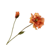 Poppy Spray Ora/Br Rt