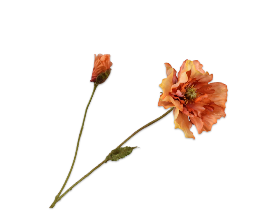 Poppy Spray Ora/Br Rt