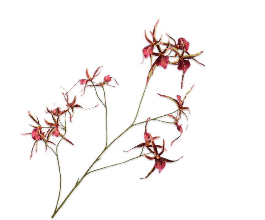 Orchid Spray Pnk/Brn