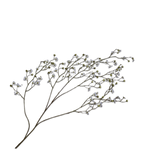 Blossom Spray White