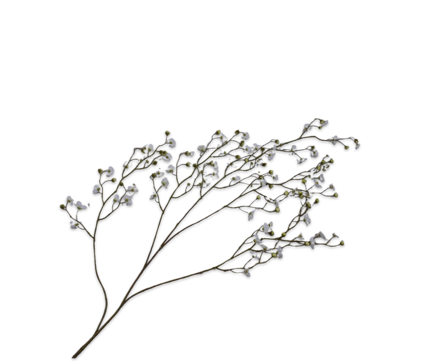 Blossom Spray White