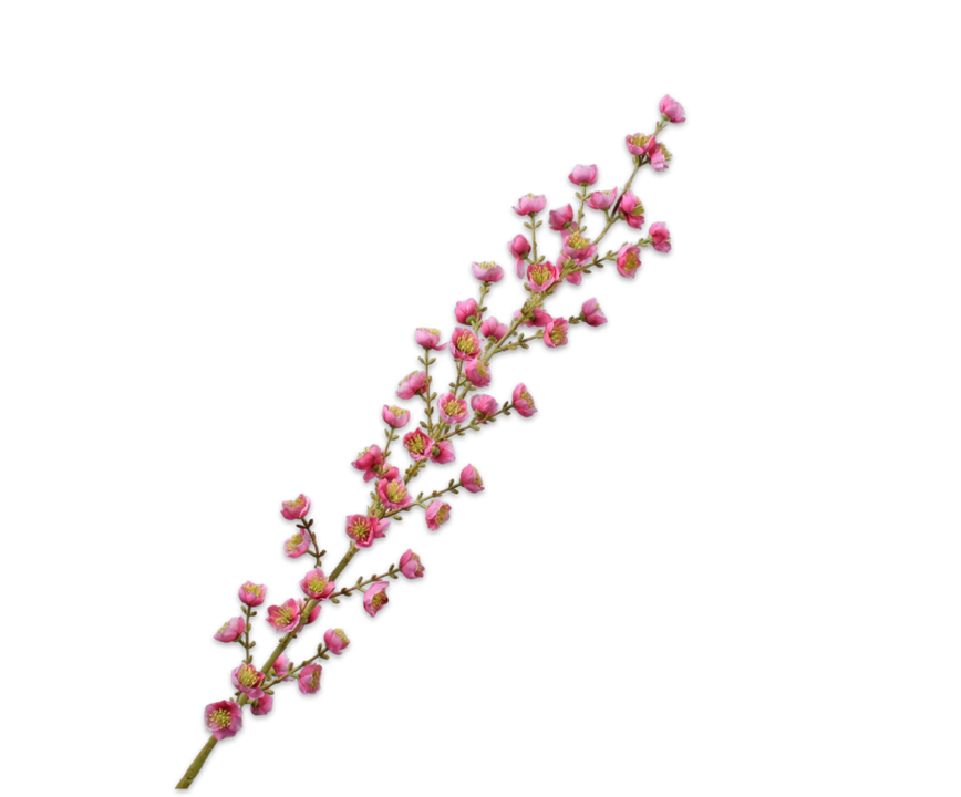 Blossom Stem Pink
