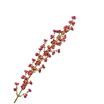 Blossom Stem Beauty