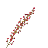 Blossom Stem Beauty