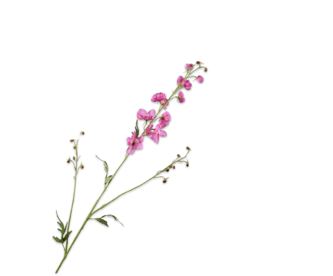 Delphinium Spray Beauty