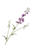 Delphinium Spray Lavend