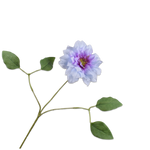 Clematis Spray Lavend