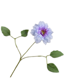 Clematis Spray Lavend