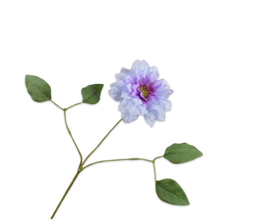 Clematis Spray Lavend