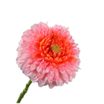 Gerbera Stem Pink Rt