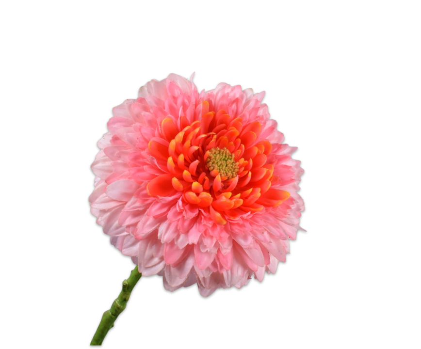 Gerbera Stem Pink Rt