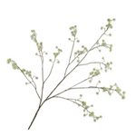 Queen An Lace Spray Green