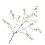 Queen An Lace Spray Green