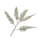 Palm Spray Green-86Cm