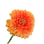 Gerbera Stem Orange Rt