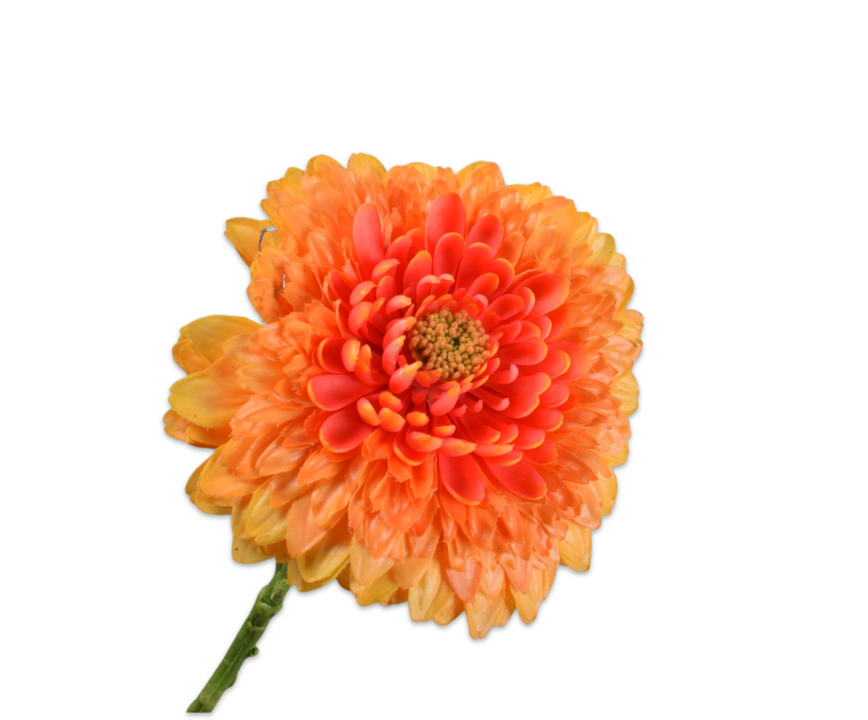 Gerbera Stem Orange Rt