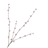 Peach Blossom Pink