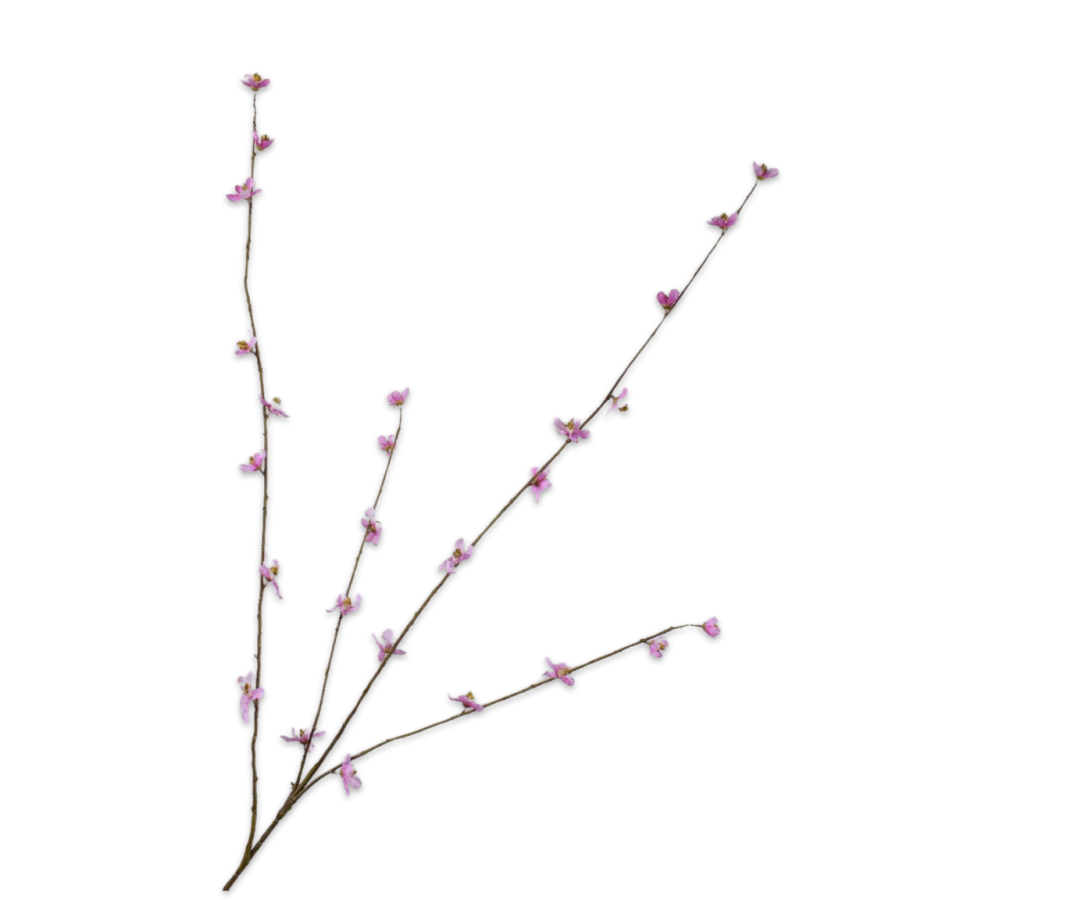 Peach Blossom Pink