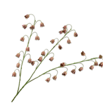 Fritillaria Spray Bur/Grn