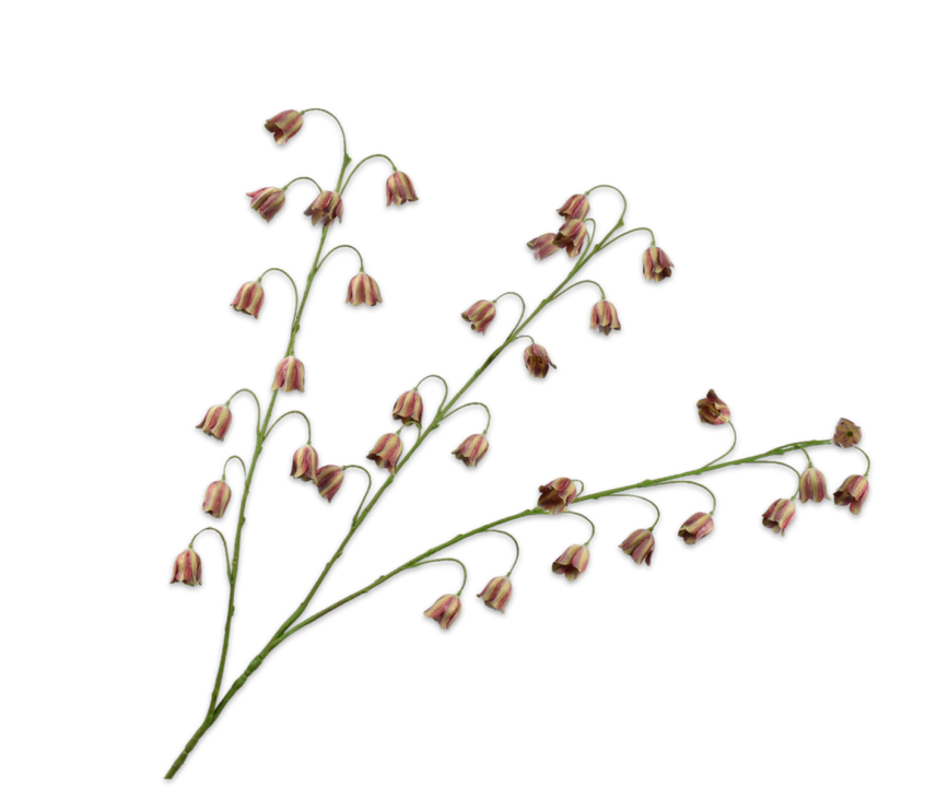 Fritillaria Spray Bur/Grn