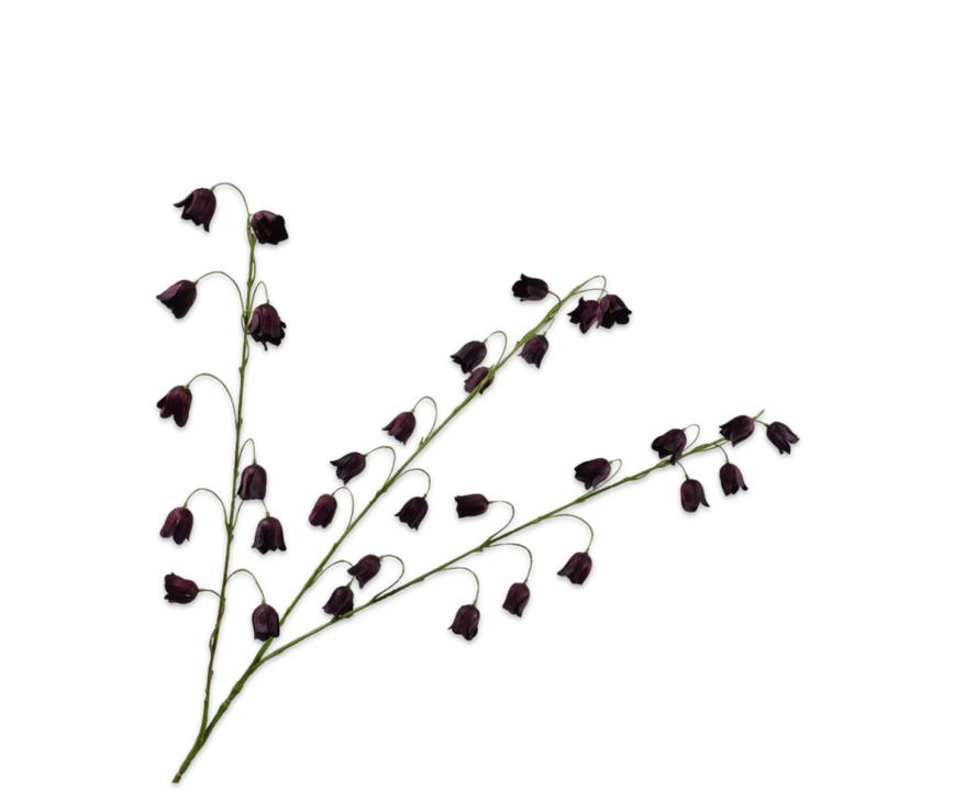 Fritillaria Spray Burgund