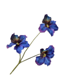 Pansy Spray Prp/Bl