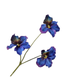 Pansy Spray Prp/Bl