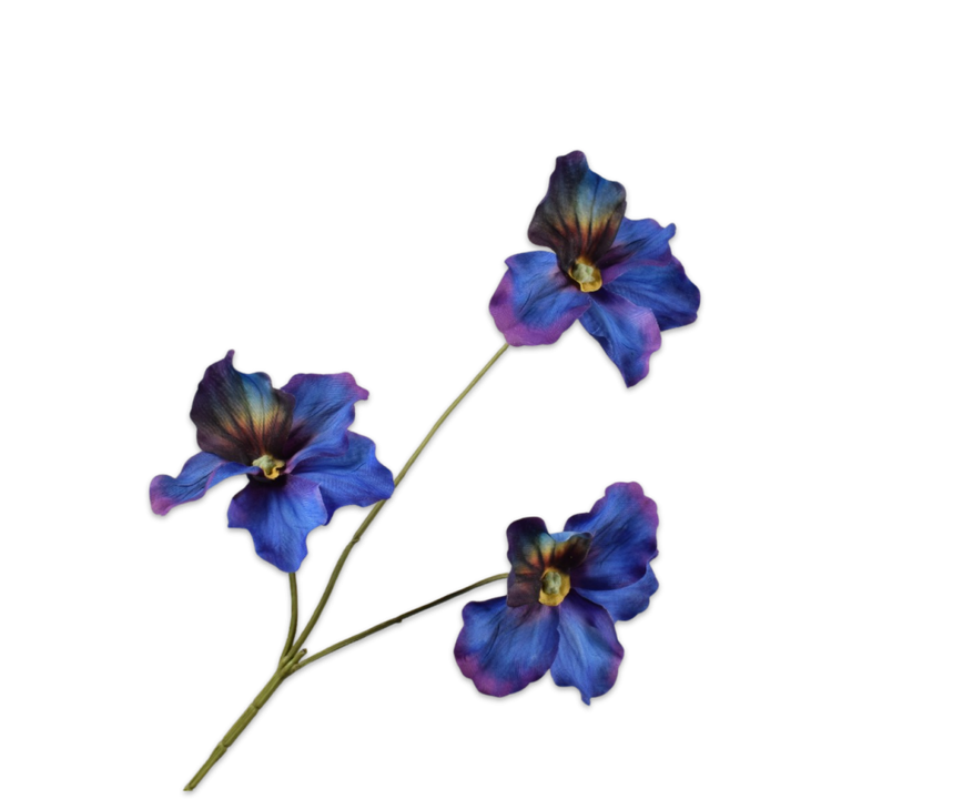 Pansy Spray Prp/Bl