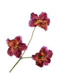Pansy Spray Pnk/Brn