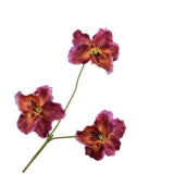 Pansy Spray Pnk/Brn