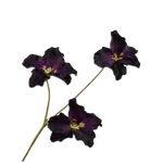 Pansy Spray Burgund