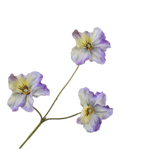 Pansy Spray Lav/Cr