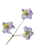 Pansy Spray Lav/Cr