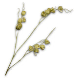 Physalis Spray Green