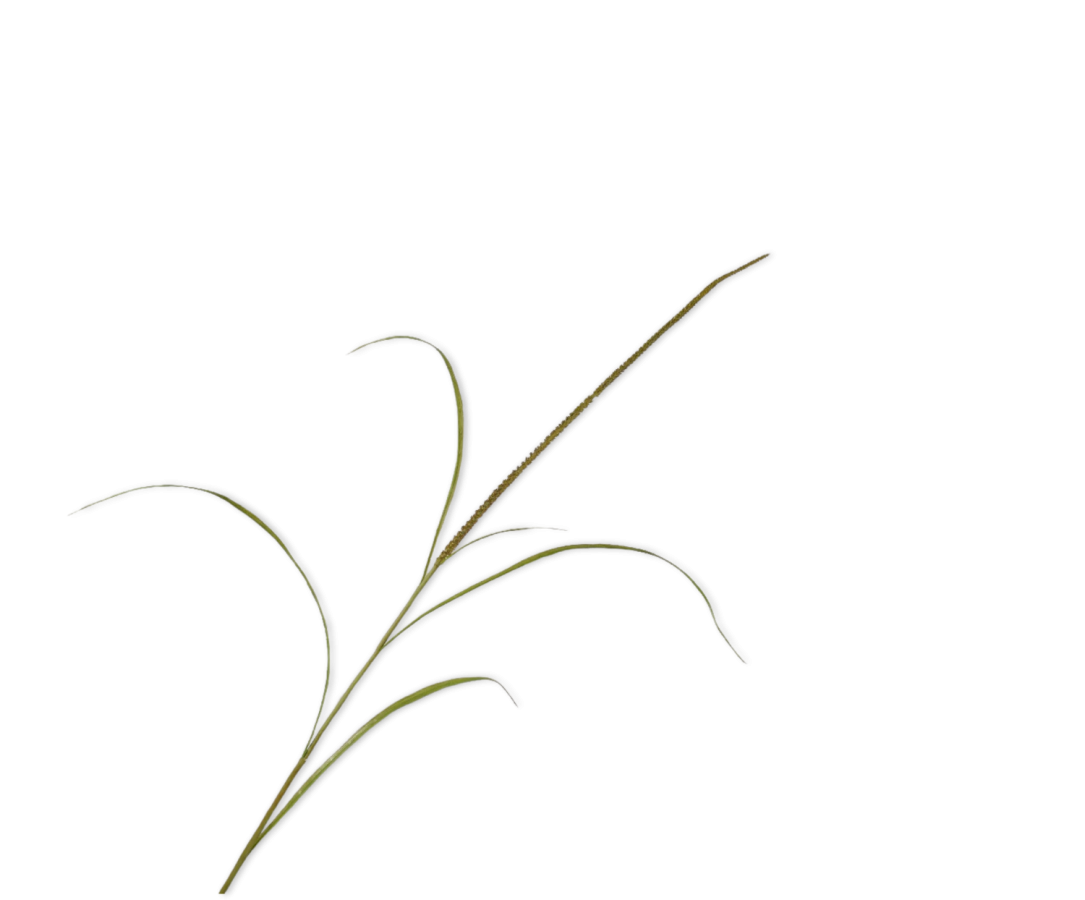 Grass Spray Green -130