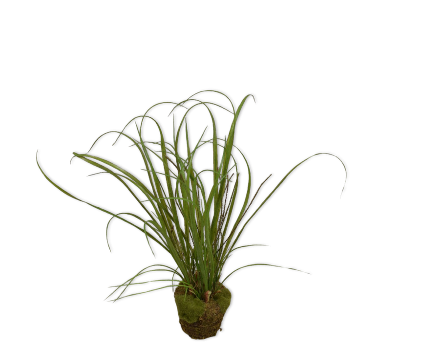 Grass O/Soil Green-74