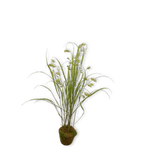 Grass O/Soil Green-122