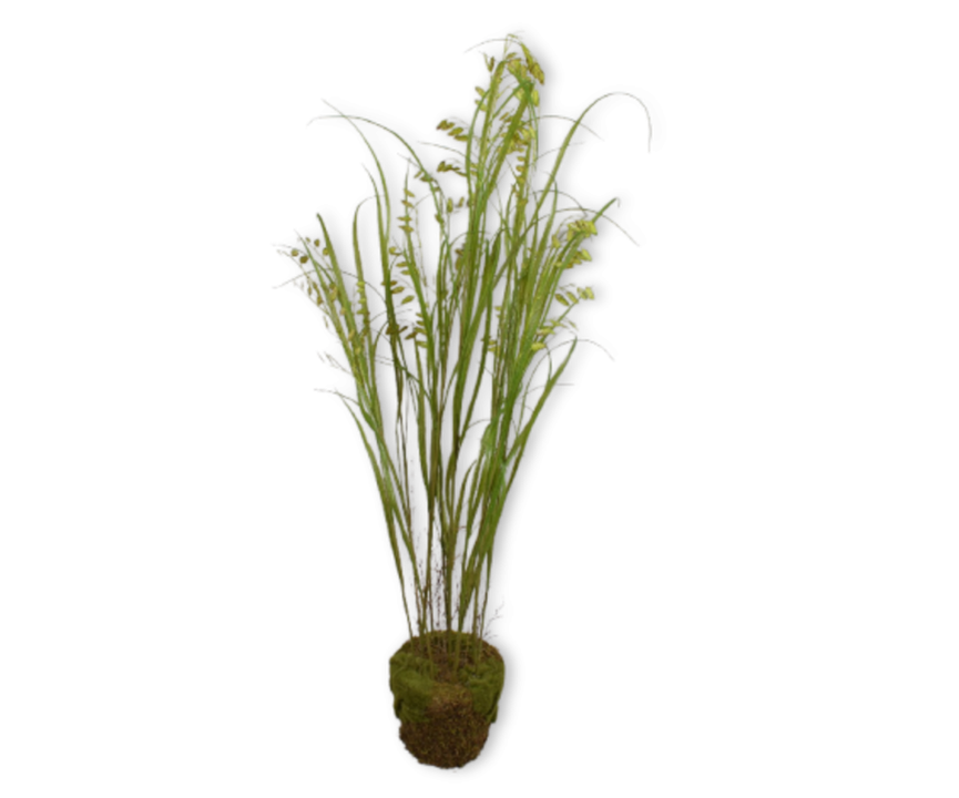 Grass O/Soil Green-150