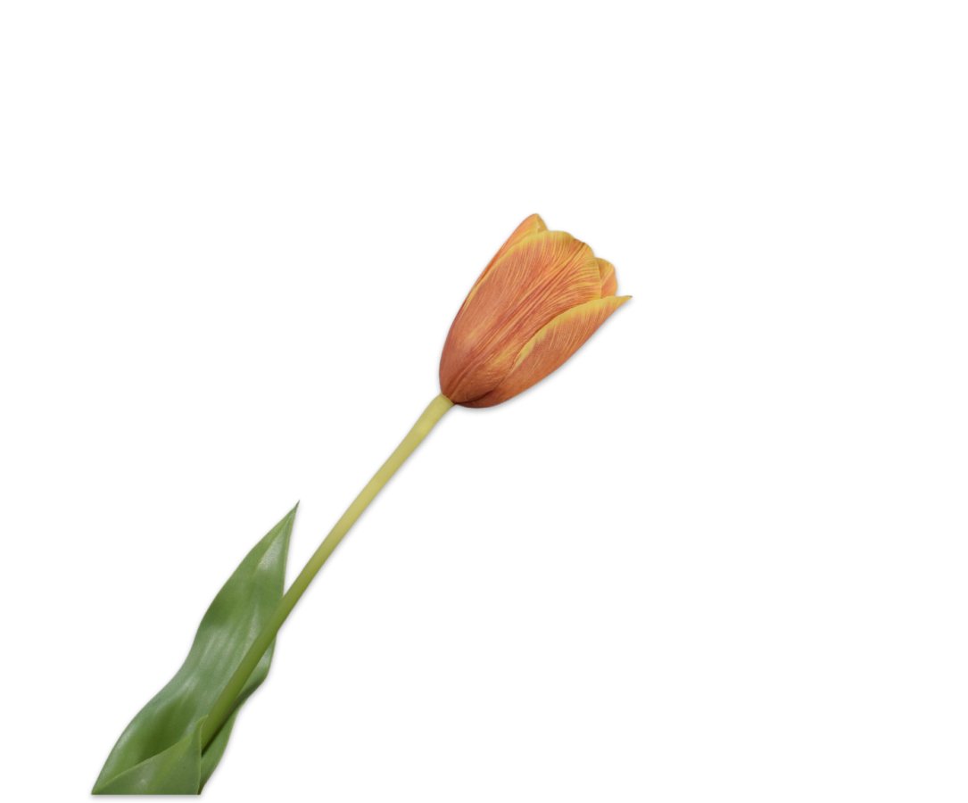 Tulip Stem Yll/Org Rt