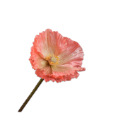 Poppy Stem Salmon