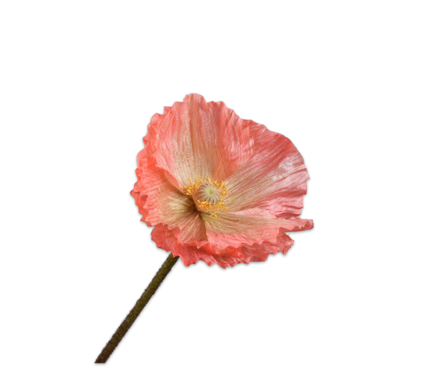 Poppy Stem Salmon