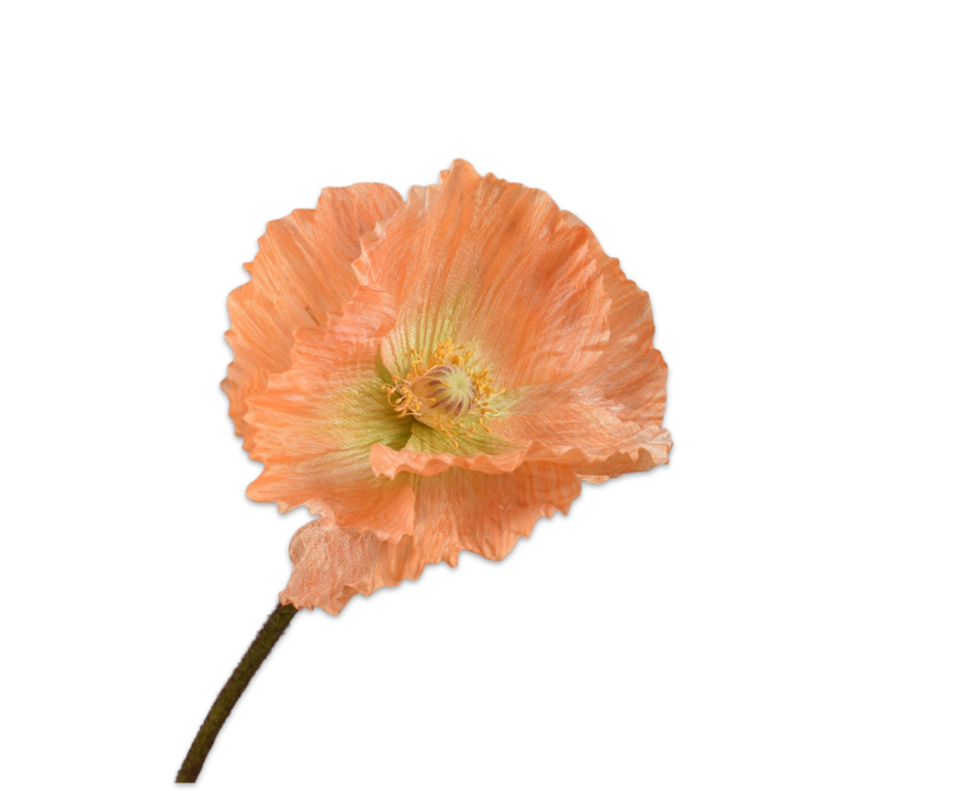 Poppy Stem Orange