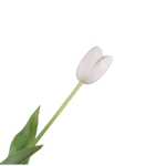 Tulip Stem White Rt-82