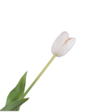 Tulip Stem White Rt-82