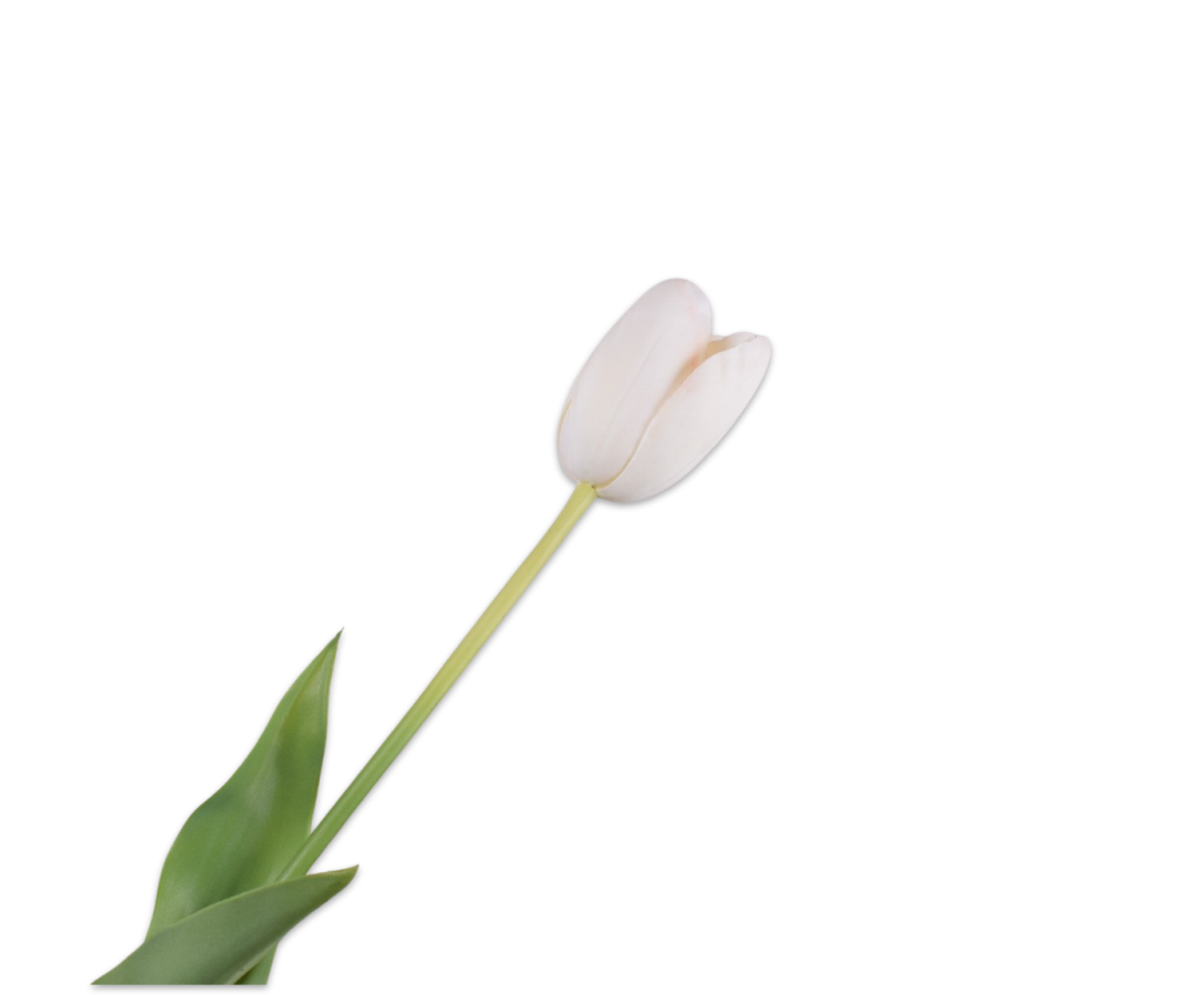 Tulip Stem White Rt-82