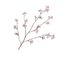 Blossom Spray Pink - 116