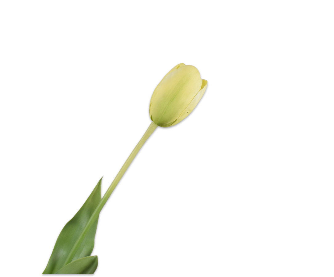 Tulip Stem Yellow Rt