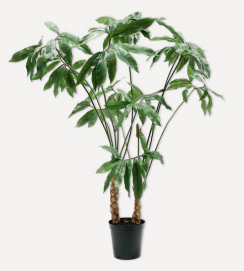 Plant Green-204Cm